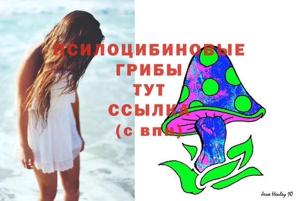 стафф Корсаков