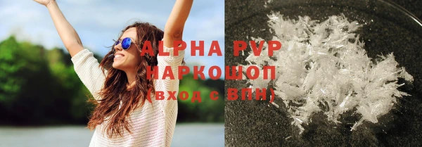 стафф Корсаков