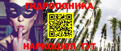 прущие грибы Камышлов