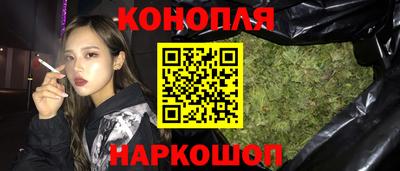 прущие грибы Камышлов