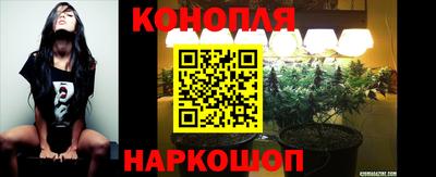 прущие грибы Камышлов