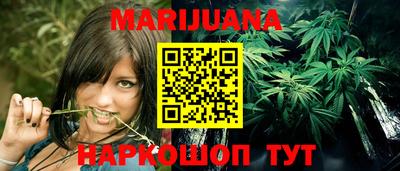 крисы Кандалакша