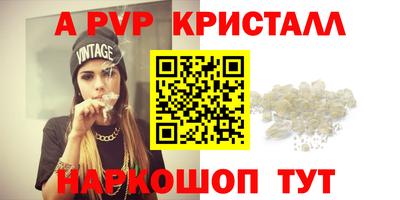 прущие грибы Камышлов
