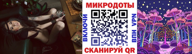 Псилоцибиновые грибы Psilocybe  Кондопога 