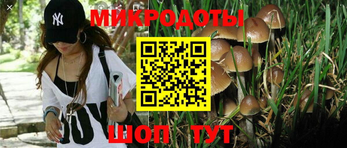 Псилоцибиновые грибы Magic Shrooms  Вход с VPN  Кондопога  как найти наркотики  Галлюциногенные грибы ЛСД 