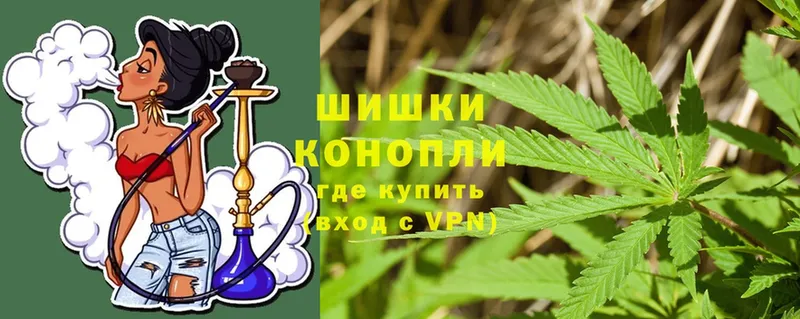 Бошки марихуана THC 21%  Кондопога 